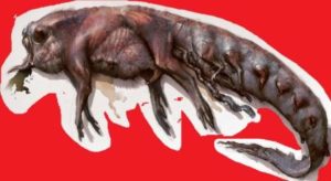 larva astral e encosto mentiras